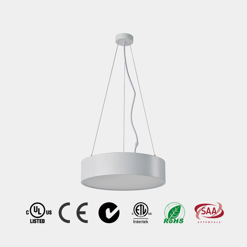 Concise LED Ceiling Lamp