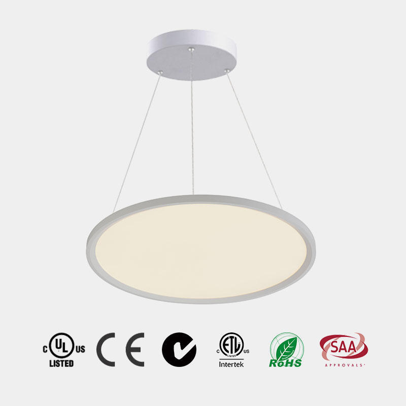 LED round Pendant Light P2101