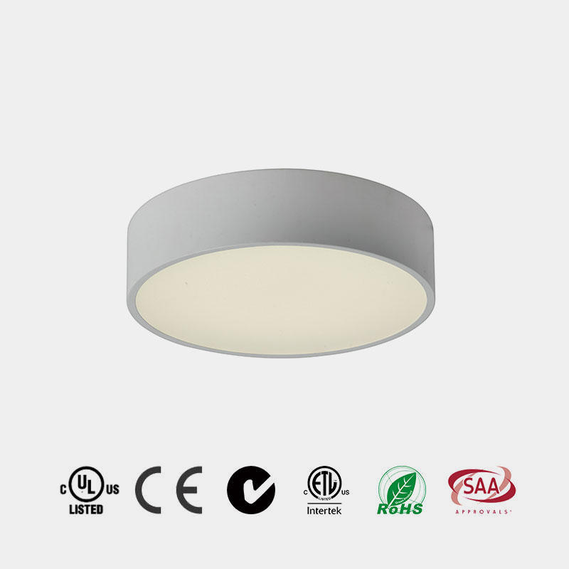 LED Round Ceiling Light P1902
