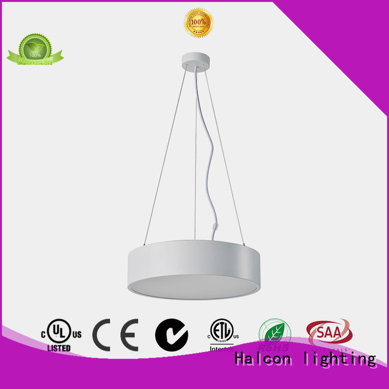 professional pendant led light supply for indoor use
